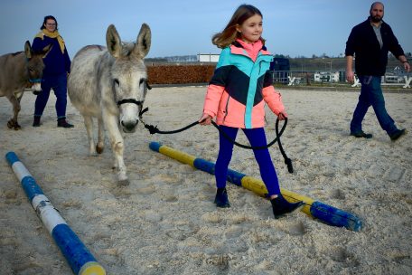 Mit den Eseln im „Parcours“ gehen – das macht den Kindern am meisten Spaß. Um mehr Zeit mit den Tieren im Parcours zu verbringen, bemühen sich die Kinder, die Putzroutine gründlich, aber zügig zu erledigen, erzählt Tiertherapeut Tanguy.