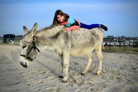 Vertrauen aufzubauen, das schaffen die Tiere in der Kommunikation mit den Kindern auch ohne Worte