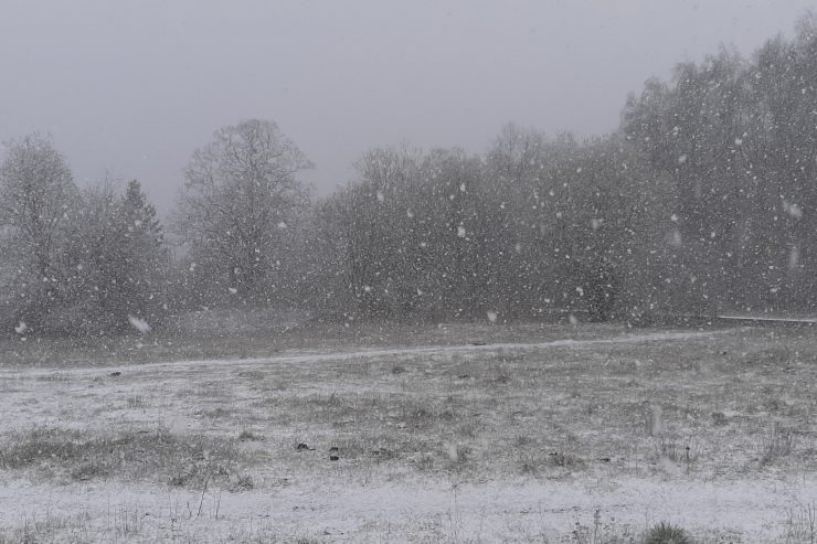 Wetter / Aprilwetter: Schnee im Süden des Landes