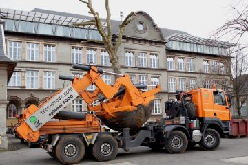 Esch / Eine Umzugsaktion der etwas anderen Art: Wenn alte Bäume verpflanzt werden