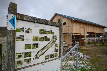 Die Wasserbüffel werden den Unterstand wahrscheinlich gar nicht so oft nutzen