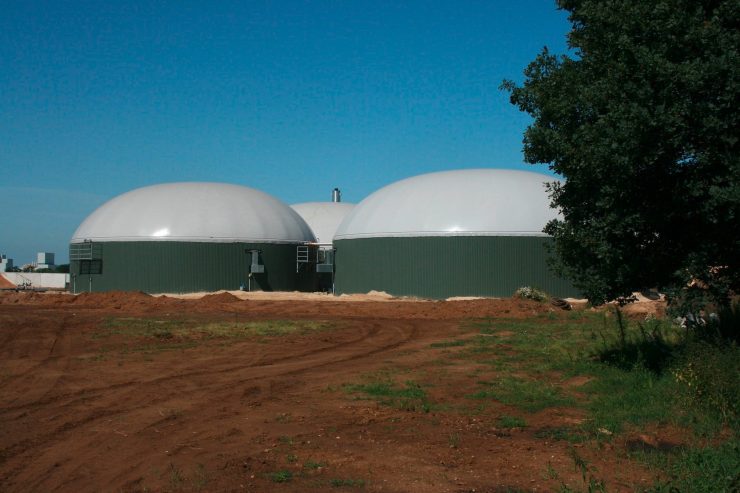 Meinung / Biogas-Anlagen: Totengräber von Natur und Gesundheit am Werk (Teil 3)