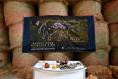 Abfall kann töten / Zehn Prozent der Nutztiere werden „Opfer“ von arglos weggeworfenem Müll