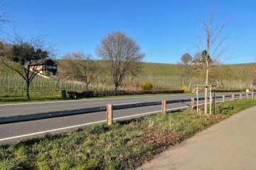 Radweg an der „Route du Vin“ / Wenn die Leitplanke zur Barriere wird