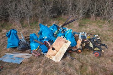 Naturschutz  / Das Düdelinger „Bëschkollektiv“ räumt die Wälder auf