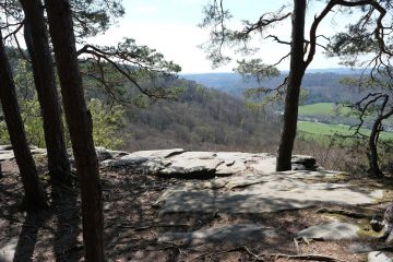 Umwelt  / Müllerthal: Die Sache mit dem Müll und wie Corona ein zeitloses Problem verschärft