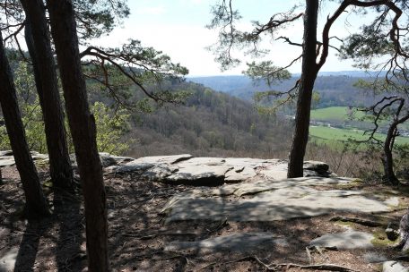 Umwelt  / Müllerthal: Die Sache mit dem Müll und wie Corona ein zeitloses Problem verschärft