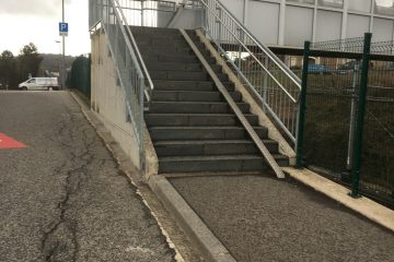 Ratssitzung Sanem / Barrierefreiheit und Abschied von Myriam Cecchetti