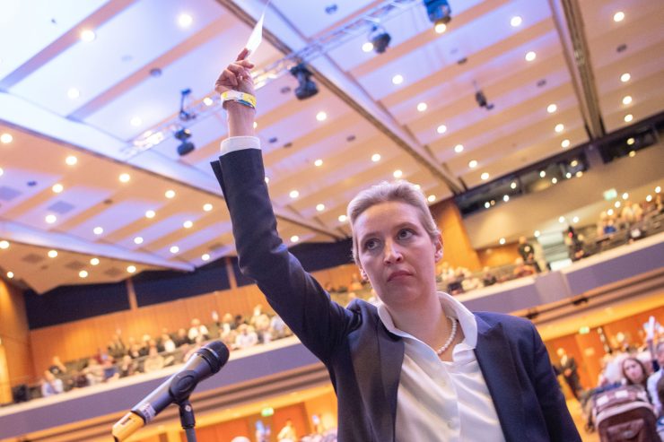 Deutschland / Die Suche der AfD nach Spitzenkandidaten-Duo spiegelt den Machtkampf zwischen Radikalen und Gemäßigteren