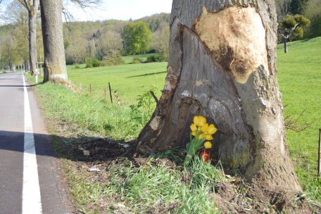 Tödlicher Unfall / 26-jähriger Motorradfahrer prallt zwischen Cruchten und Colmar gegen einen Baum