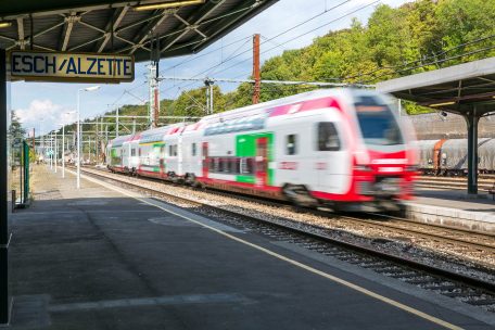 Landesverband / Green Deal bedeutet nicht nur E-Autos