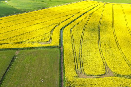 Agrarlandschaft / Studie sieht Natur und Umwelt in Luxemburg in schlechtem Zustand
