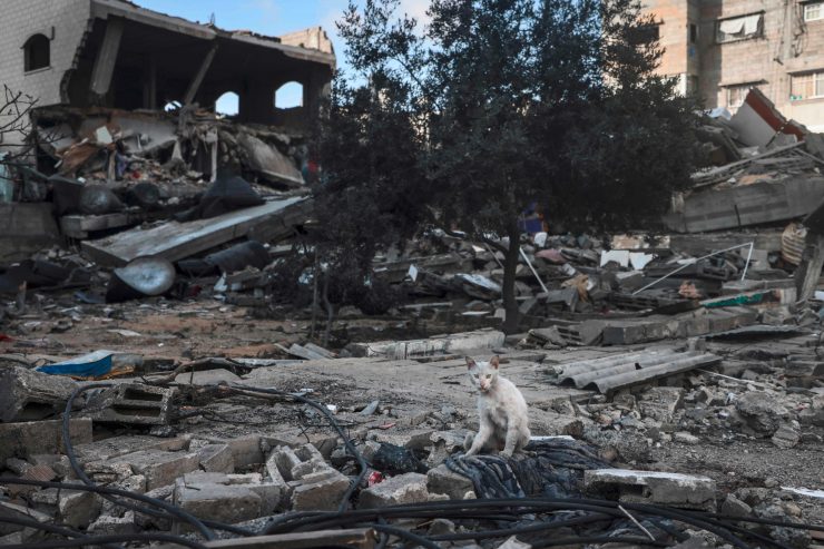 Nahost-Konflikt / Nach elftägigem Schlagabtausch mit Hamas: Israel billigt Waffenruhe