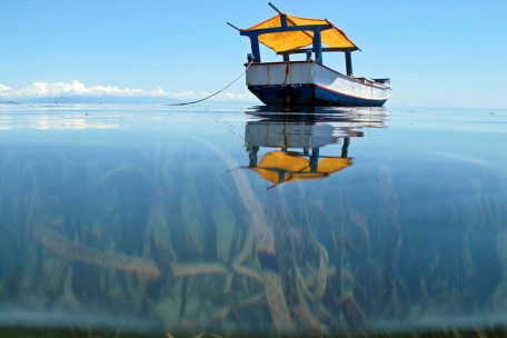 Corona-Pandemie / Impfdiplomatie im Pazifik – China versus Australien und USA