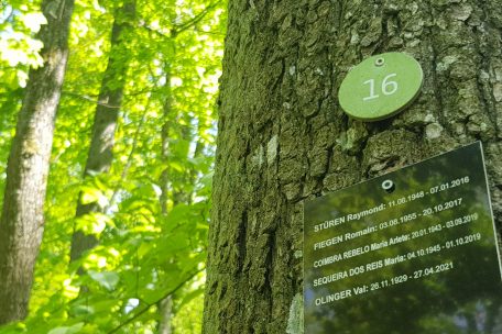 Am Baum Nr. 16 des Escher Waldfriedhof fand Val Olinger seine letzte Ruhestätte 