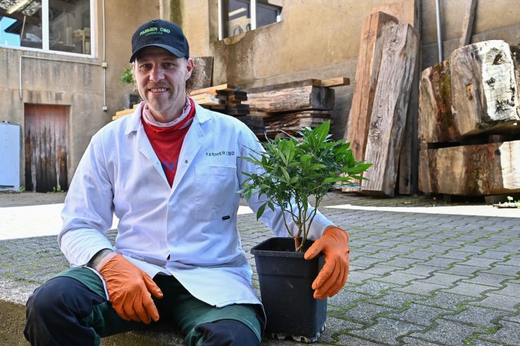 Kraut vum Bauer / Bei Steve Wampach gibt es „CBD made in Luxembourg“