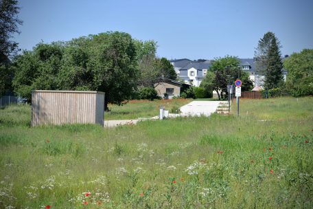 Justiz / Prozess um in Schrebergarten erstochenen 25-Jährigen beginnt