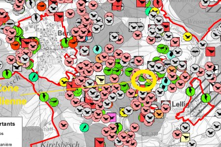 Untersuchungen und Aufzeichnungen zeigen, dass diese Zone auf dem Plateau in Lellig nicht umsonst als „Zone de protection d’oiseaux – Natura 2000“ ausgewiesen ist. Und dennoch soll gerade dort eine 230 Meter hohe Windkraftanlage errichtet werden.