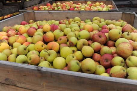 Ein guter Ansatz ist laut Jean-Claude Muller der Direktverkauf ab Hof