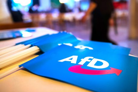 Meinung / Deutschland: Die AfD als Projekt von Milliardären