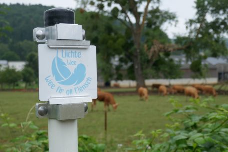 In der Gemeinde Kayl-Tetingen / Wandern ohne Hindernisse