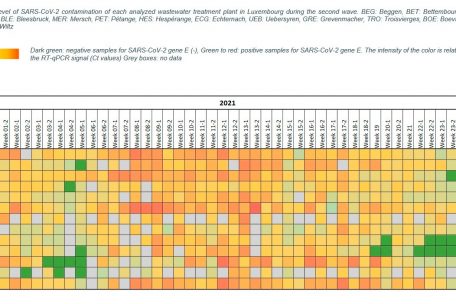 Grad der SARS-CoV-2-Kontamination jeder analysierten Kläranlage in Luxemburg