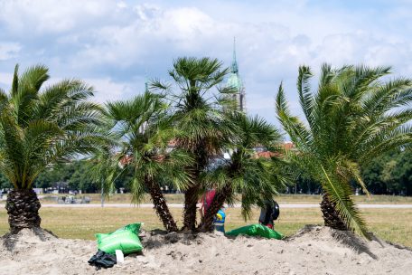 Reisen und Urlaub / Diese Einreisebestimmungen und Corona-Maßnahmen gelten in Europas Urlaubsländern