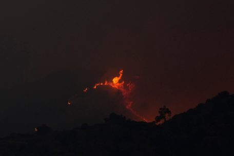 Trockenheit / Waldbrände bei Narbonne und auf Zypern