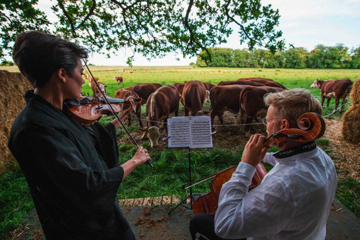 Verrückte Idee / Ein Konzert für die Kuh