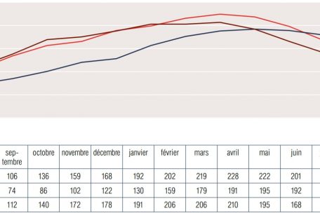 Die angeführte Grafik veranschaulicht die Anzahl der freiwilligen Praktika der Initiative „Jeunes décrocheurs et jeunes inactifs“ des SNJ, die zwischen 2017 und 2020 über Monate hinweg registriert wurden. Ab März 2020 hat die Anzahl an Einschreibungen unter den Konsequenzen der Corona-Pandemie abgenommen. Prägend ist vor allem der Unterschied zwischen den beiden Jahreshälften, wobei in den ersten sechs Monaten des Jahres wesentlich mehr Einschreibungen zu verbuchen sind als in der zweiten Jahreshälfte. 