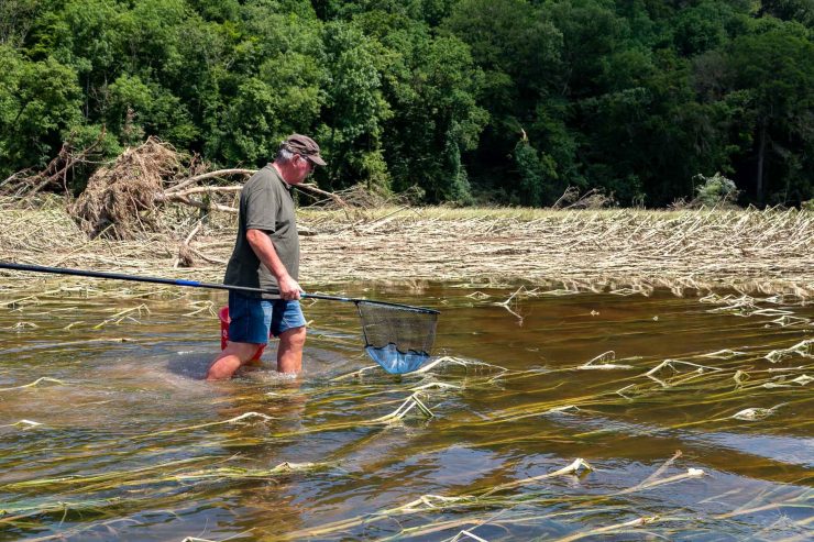 Nach dem Hochwasser / „Rettet die Fische“: Luxemburger Sportfischer bitten Naturfreunde um Unterstützung 