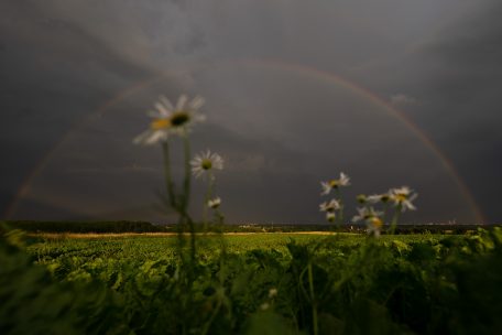 Luxemburg / Experten warnen vor wechselhaftem Wetter am Wochenende