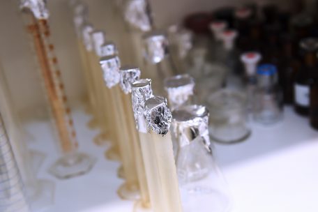 LNS-Bericht / „P.1“ bleibt die dominante Variante in Luxemburg 