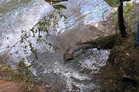 In Beggen / Heizöl verschmutzt Alzette