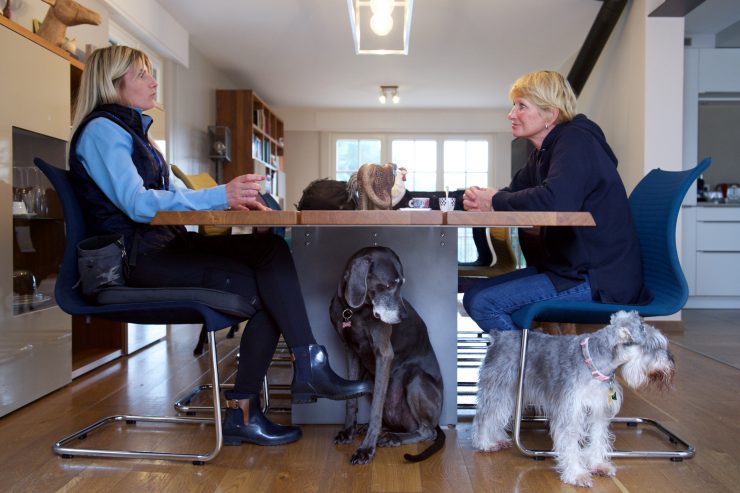 Eisenborn / Maison Dog: Hier haben Hunde ein zweites Zuhause auf Zeit  