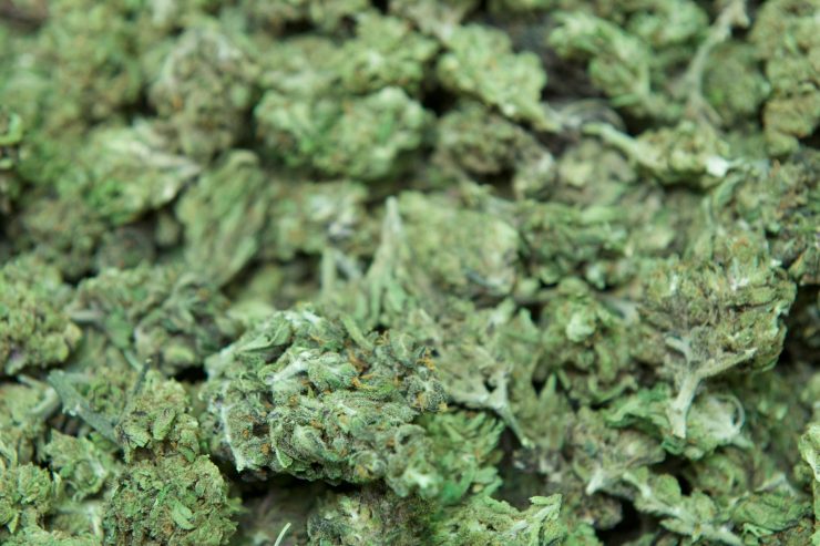 Aire de Capellen / Polizei beschlagnahmt 24 Gramm Cannabis