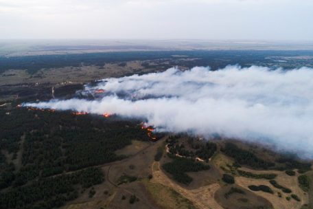 Russland: Ein Waldbrand mit einer Fläche von 200 Hektar im Bezirk Danilovka. Die verheerenden Waldbrände in Russland könnten nach Einschätzung von Umweltschützern ein historisches Ausmaß annehmen.