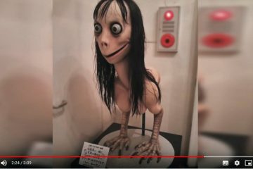 Slang (Teil 2) / Snowflake, Hoax und Troll: Das bedeuten die neuen Schlagworte aus Netz und Medien