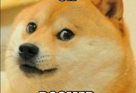 Das &bdquo;OK Boomer&ldquo;-Meme mit Hund hat einen hohen Wiedererkennungswert im Netz und richtet sich an &auml;ltere Semester, die sich etwa &uuml;ber neue Apps und soziale Netzwerke aufregen oder junge Bewegungen verteufeln