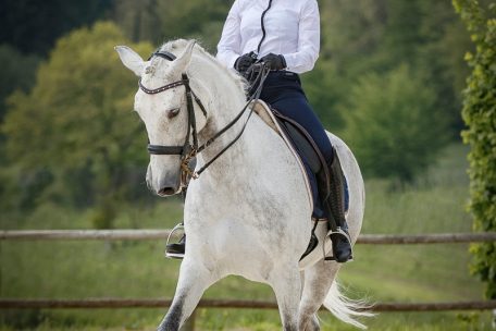 Dressur, sagt die Pferdeexpertin Trausch, sei die Basis für alles. Deshalb gehört die Dressur zu den vier Wettbewerben im Bereich der Arbeitsreitweise.