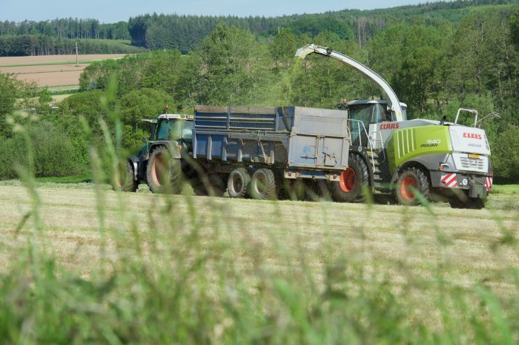 Landwirtschaft / Weit vom Ideal entfernt: Luxemburgs Bauern beklagen schlechte Qualität im Erntejahr 2021