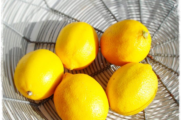 Frische Zitronen / Unbehandelt heißt nicht frei von Schadstoffen