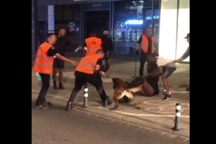 Video aufgetaucht / Vorfall in Luxemburg-Stadt: Sicherheitsdienst bekommt beißenden Hund nur schwer unter Kontrolle