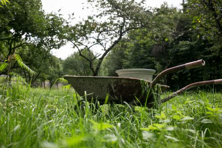 Unser Ernährungssystem muss neu gedacht werden: vor allem umweltgerechter und lokaler. Ernährungsräte funktionieren dabei als Thinktanks. In Luxemburg steht er im Regierungsprogramm und ein Gesetz dazu ist auf dem Weg. Den Inhalt kennen nur die Beteiligten, nicht mal die Initiatoren. Er soll in Kürze in die zuständige Chamberkommission.