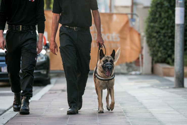 Nach Hundeattacke / „Es könnte besser sein“: Eindrücke zum Sicherheitsgefühl im Bahnhofsviertel