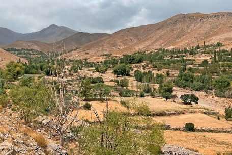Die Gegend um Ghazni, wo Fida aufgewachsen ist