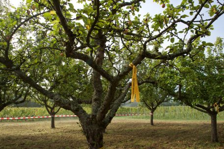 Die leuchtenden Bänder können kostenlos von den Gemeinden beim Landwirtschaftsministerium beantragt werden und sind aus biologisch abbaubarem Material<br />
