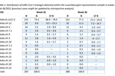 Die Verteilung des Coronavirus, das in der für Luxemburg repräsentativen Probe der 35. und 36. Kalenderwoche nachgewiesen wurde