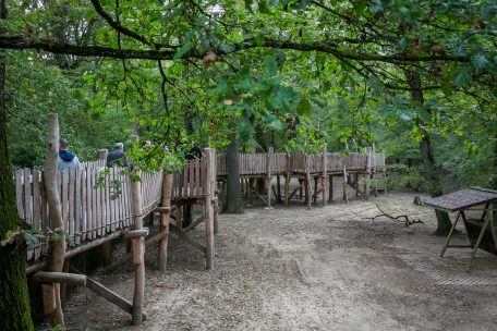 Die neue Panoramabrücke erstreckt sich weit ins Dammwildgehege hinein und bietet einen neuen Blick auf die Tierwelt