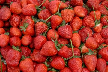 Lebensmittelpolitik / Ernährungsrat im Saarland: „Wir wollen die Augen öffnen“